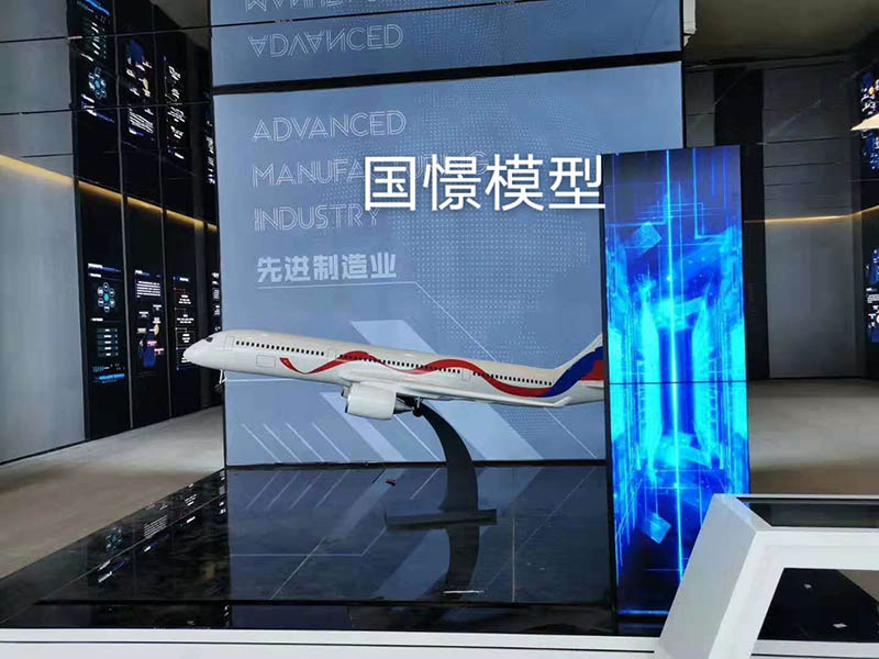 万荣县飞机模型